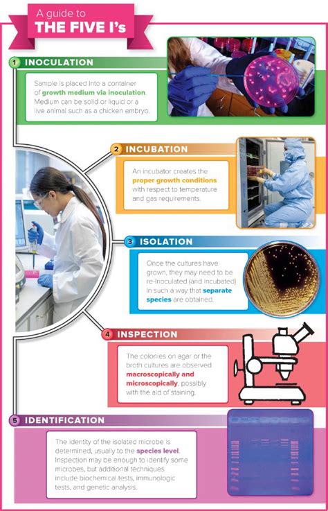 Step 1: Inspection and Identification