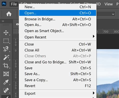 Step 1: Open your image in Photoshop