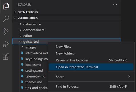 Step 2: Open the Integrated Terminal