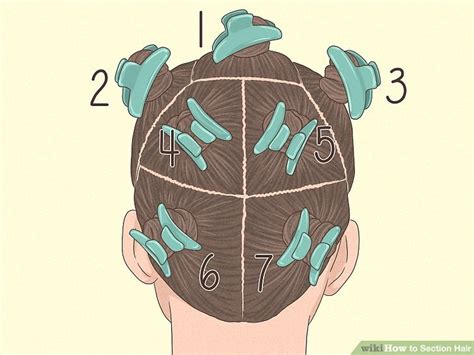 Step 2 Section Your Hair