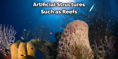 Step 2 Timing is Everything