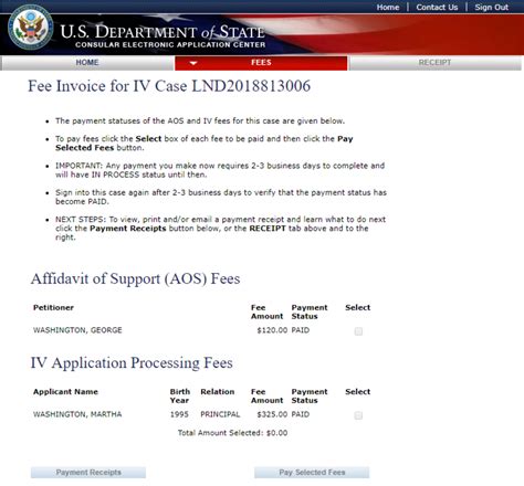 Step 3: Complete the Application and Pay Fees
