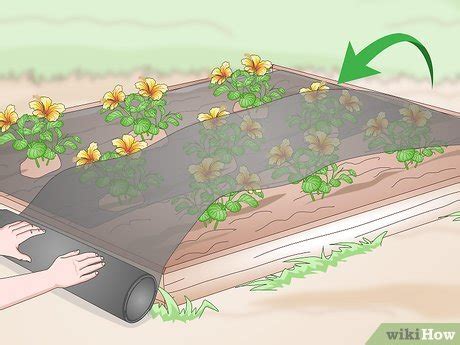 Step 3: Add a Weed Barrier
