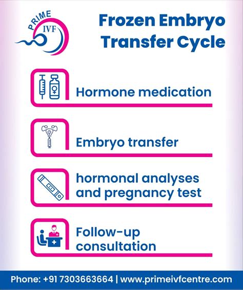 Step By Step Frozen Embryo Transfer Cycle Calendar