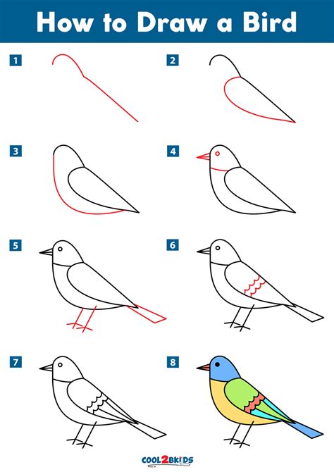 Step By Step How To Draw A Bird