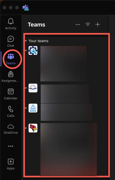 Step One: Access the Teams overview grid