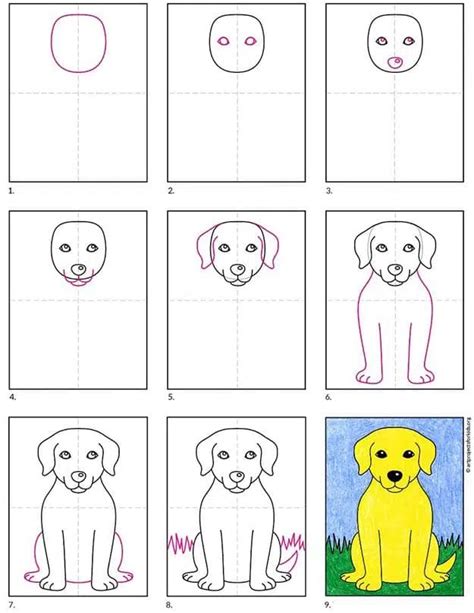 Step-by-Step: How to Enter the Labrador Draw