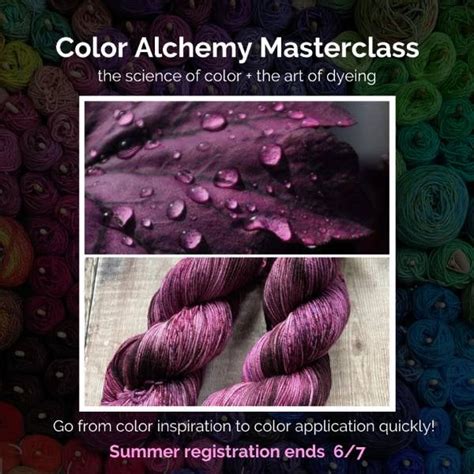 Step-by-Step Application: A Masterclass in Ion Dyeing