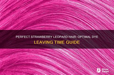 Step-by-Step DIY Leopard Hair Dye Application