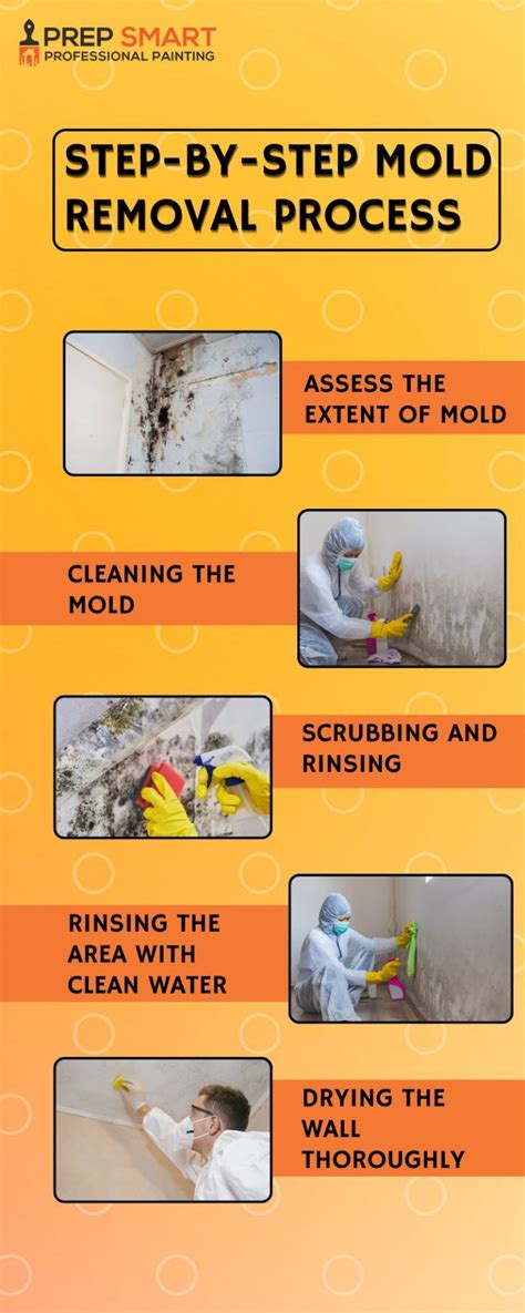 Step-by-Step DIY Mold Removal (For Small Areas)