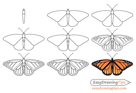 Step-by-Step