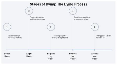 Step-by-Step