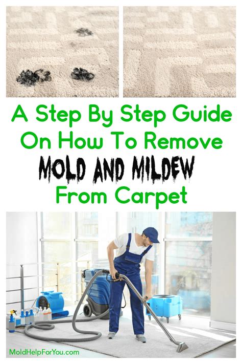 Step-by-Step Guide: How To Get Mildew Out Of Carpet