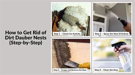 Step-by-Step Guide: How To Get Rid Of Dirt Dauber Nest