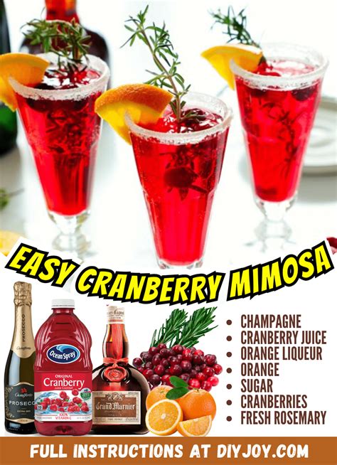 Step-by-Step Guide: How to Make Cranberry Mimosas