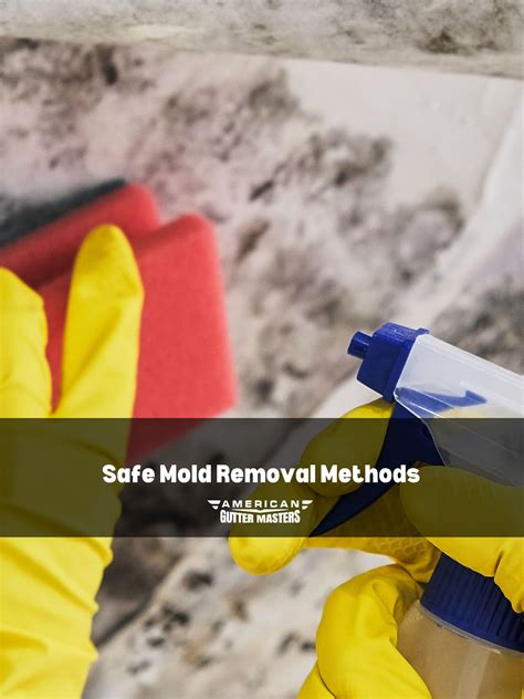Step-by-Step Guide: Mold Removal Methods