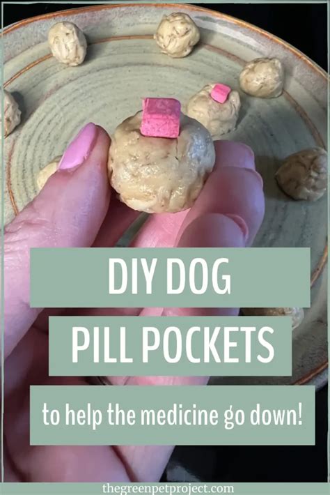 Step-by-Step Guide Making Your Easy Dog Pill Pockets