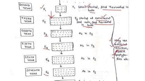 Step-by-Step Guide for Bulk Selection