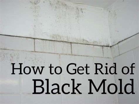 Step-by-Step Guide on How To Get Rid Of Black Mold