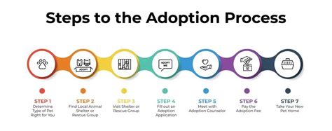 Step-by-Step Guide to Adoption