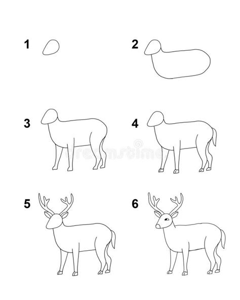 Step-by-Step