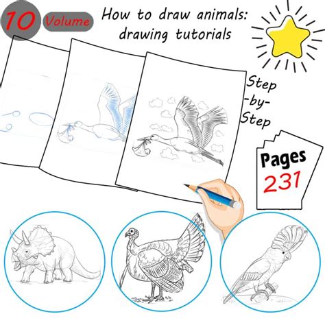 Step-by-Step