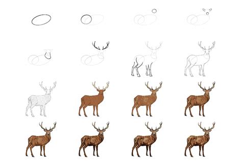 Step-by-Step