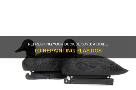 Step-by-Step Guide to Repainting Your Decoys