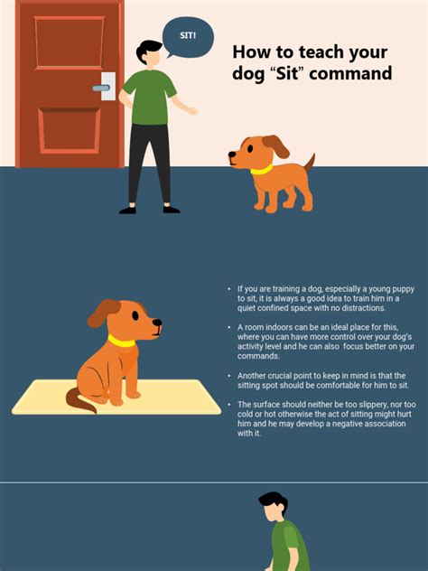 Step-by-Step Guide to Teaching the Sit Command