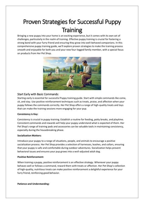Step-by-Step Guide to a Successful Puppy Introduction