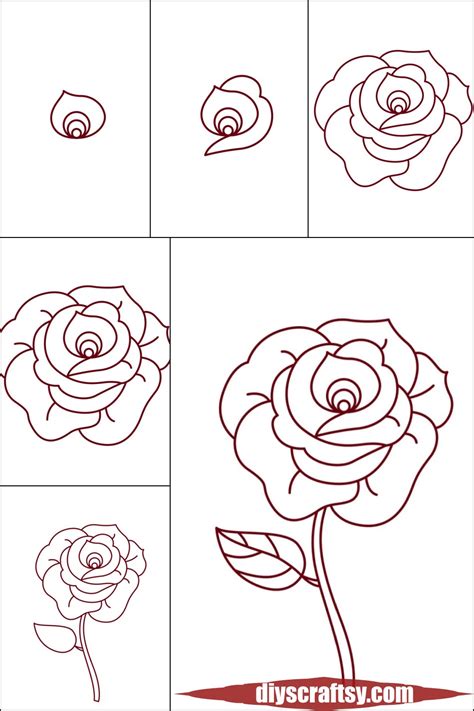 Step-by-Step Rose Drawing
