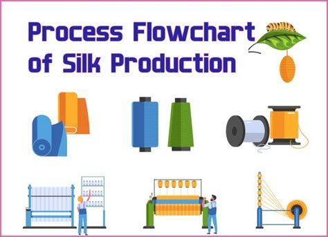 Step-by-Step Silk Creation Process