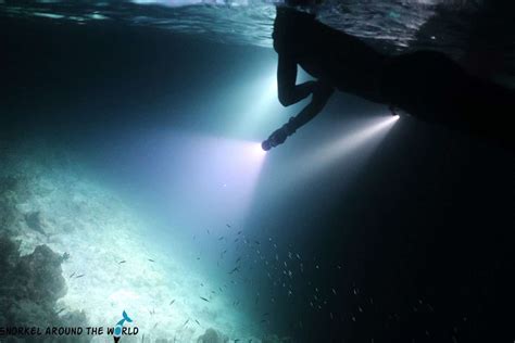 Steps for Night Snorkeling