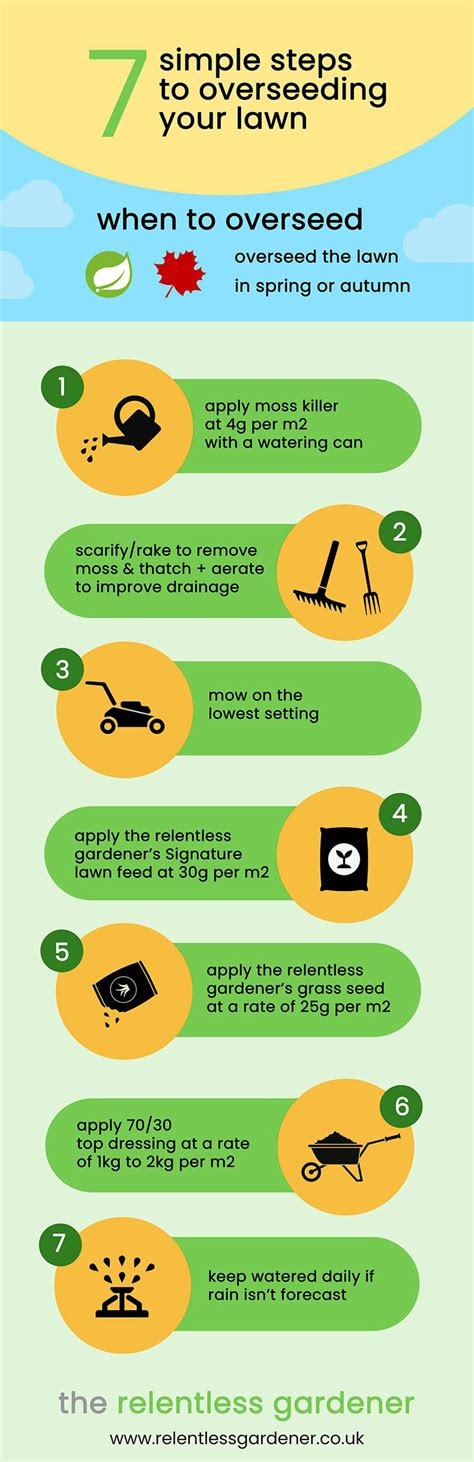 Steps for Successful Overseeding