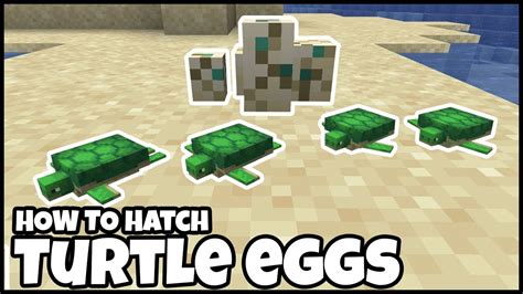 Steps to Hatch Turtle Eggs in Minecraft