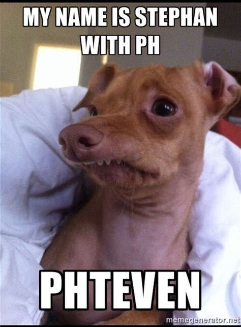 Steven Dog Meme