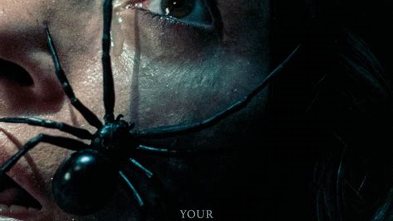 Sting 2024 Streaming Software