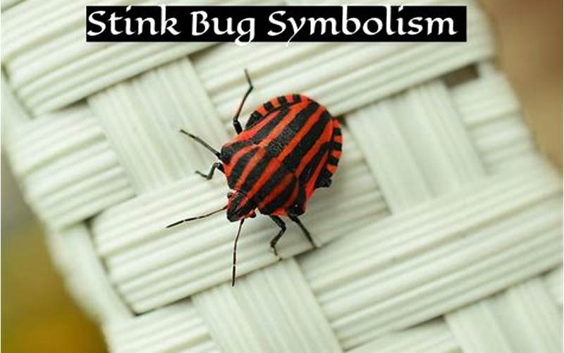 Stink Bug Symbolism