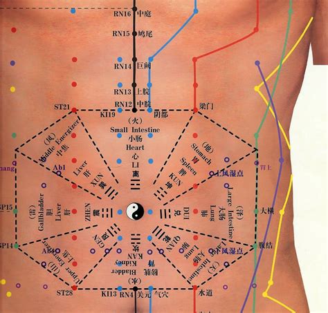 Stomach Acupuncture Points Chart