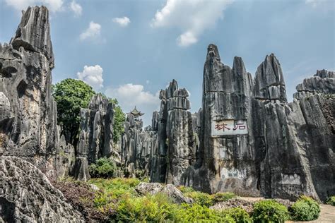 Stone Forest Experience
