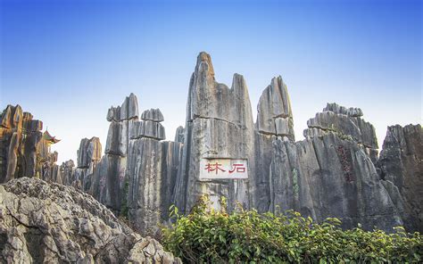 Stone Forest History