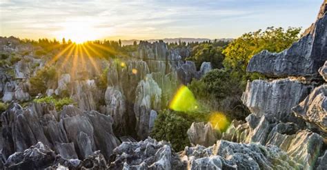 Stone Forest Private Tour