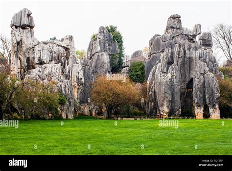 Stone Forest Spectacle