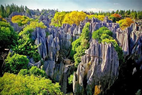 Stone Forest landscape