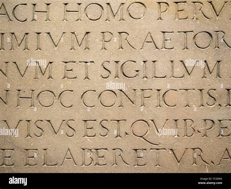 Stone In Latin