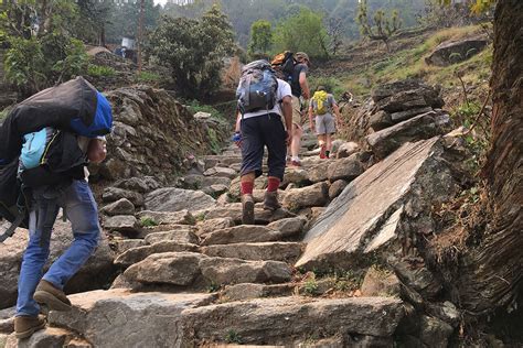 Stone steps Ghorepani trek