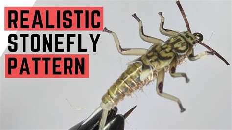 Stonefly Nymph Pattern