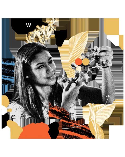 Stony Brook Course Catalog