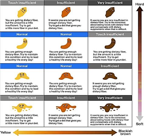 Stool Color Chart: What Your Poop Color Says About Your Health