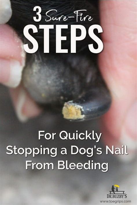 Say Goodbye to Dog Nail Bleed with these Effective Tips and Tricks